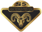 S5 Seguridad privada
